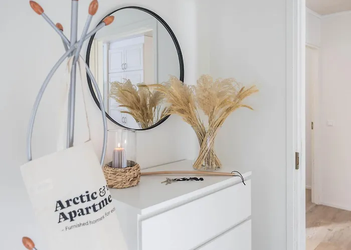 Arctic Snow * Рованиеми