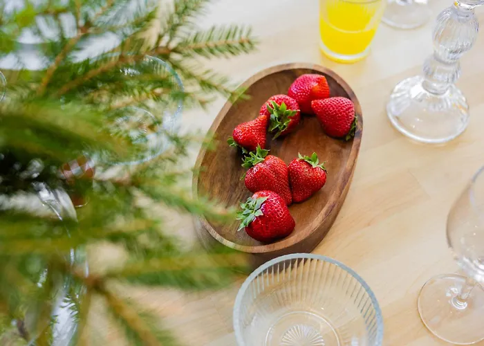 Arctic Snow * Рованиеми